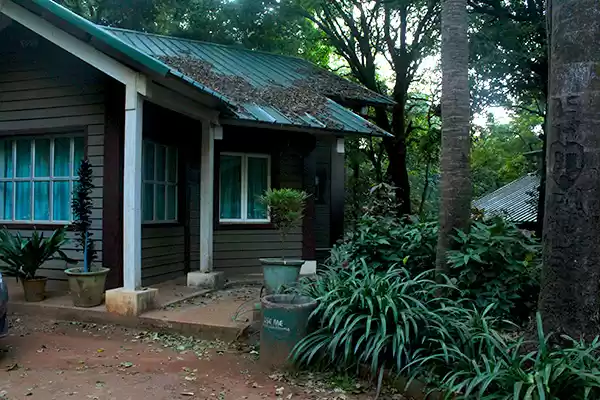 1493046450_k5.jpg